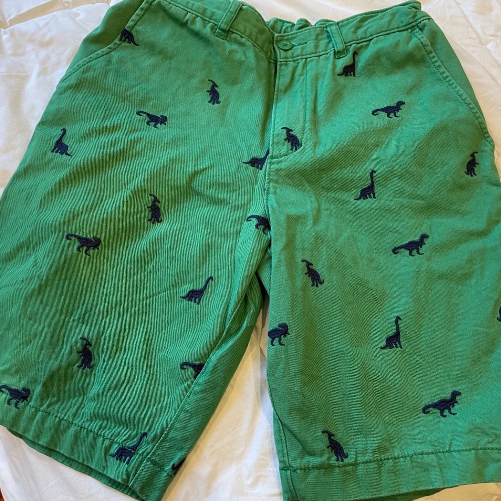 Boys Hanna Andersson Kelly Green Shorts with Dinos
